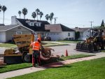 Stump Grinding Newport Beach